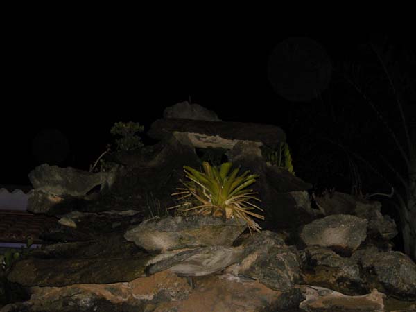 Orb-Bilder 2009 214