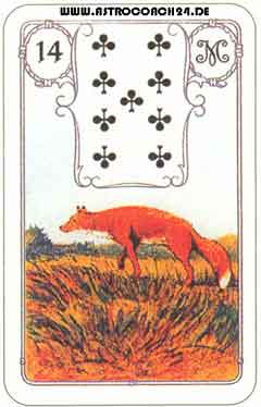 Mme Lenormand Karte Nr. 14: Der Fuchs: Intellekt, Betrug